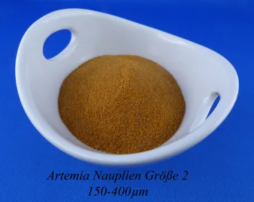 Artemia Nauplien Gr.2 getrocknete Artemia Nauplien in einer Schale